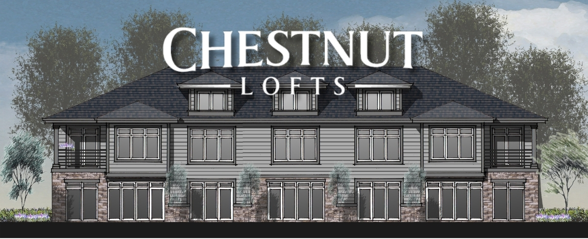 Chestnut Lofts